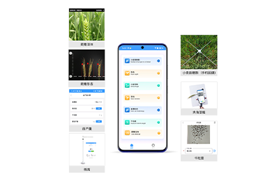 普洱市小麦表型检测仪IN-XM04